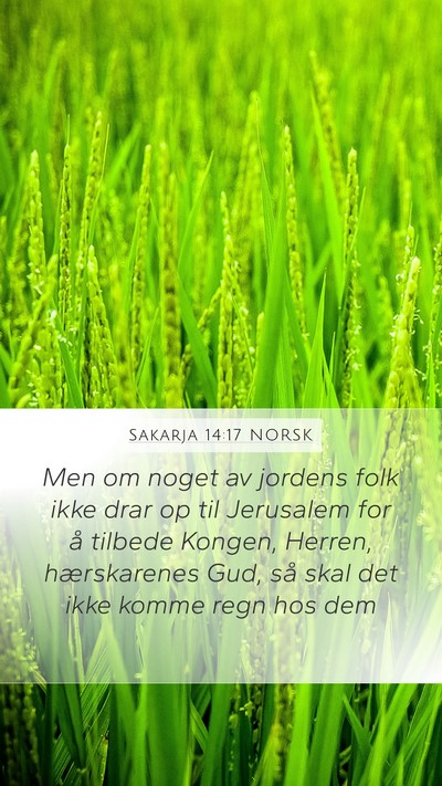 Sakarja 14:17 NORSK Mobile Phone Wallpaper - Men om noget av jordens folk ikke drar op til - Mobile Bible Verse Wallpaper