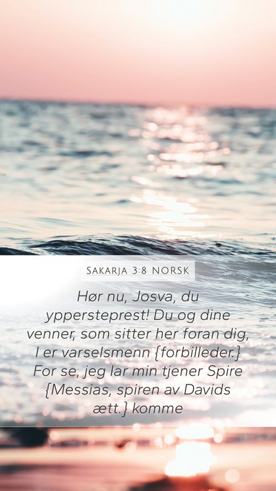 Sakarja 3:8 NORSK Bible Verse Image