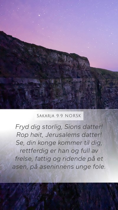 Sakarja 9:9 NORSK Bible Verse Image