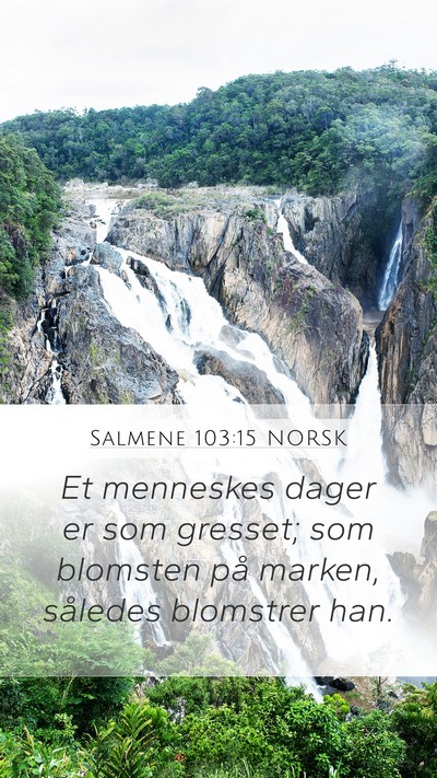 Salmene 103:15 NORSK Bible Verse Image
