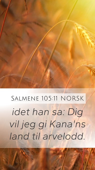 Salmene 105:11 NORSK Bible Verse Image