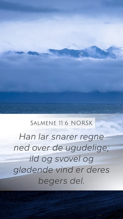 Salmene 11:6 NORSK Bible Verse Image