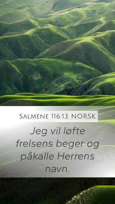 Salmene 116:13 NORSK Bible Verse Image