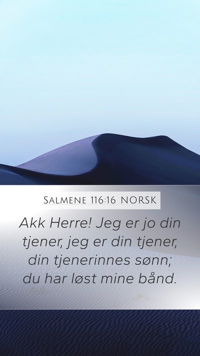 Salmene 116:16 NORSK Bible Verse Image