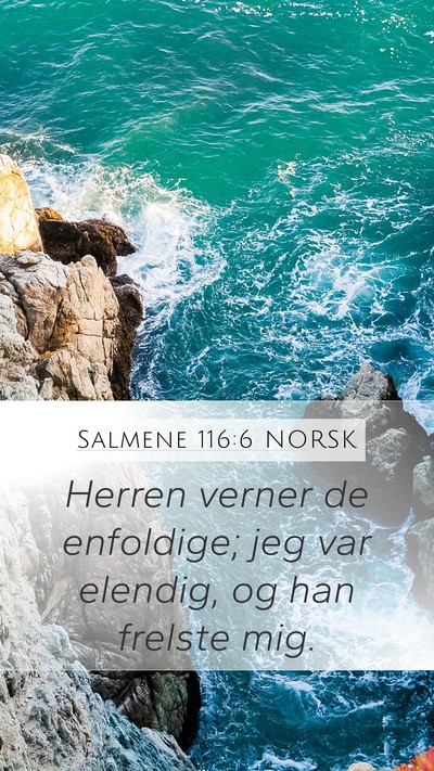 Salmene 116:6 NORSK Bible Verse Image