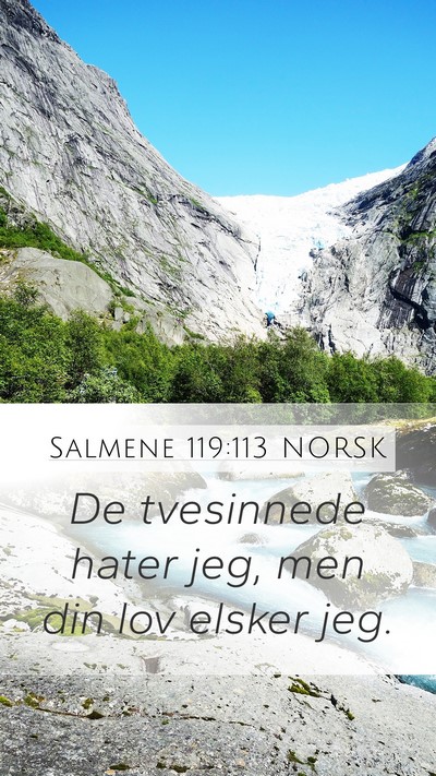 Salmene 119:113 NORSK Bible Verse Image
