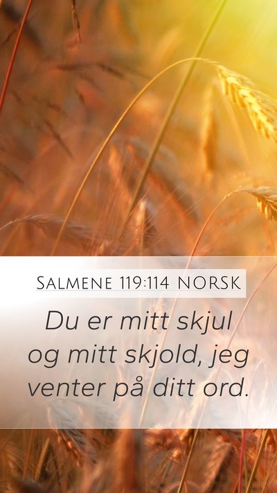 Salmene 119:114 NORSK Bible Verse Image