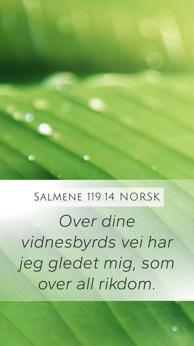 Salmene 119:14 NORSK Bible Verse Image