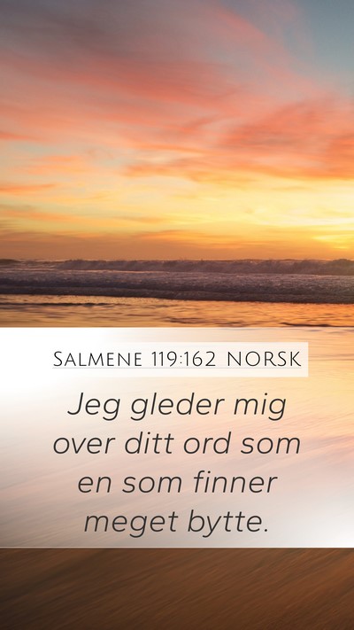 Salmene 119:162 NORSK Bible Verse Image