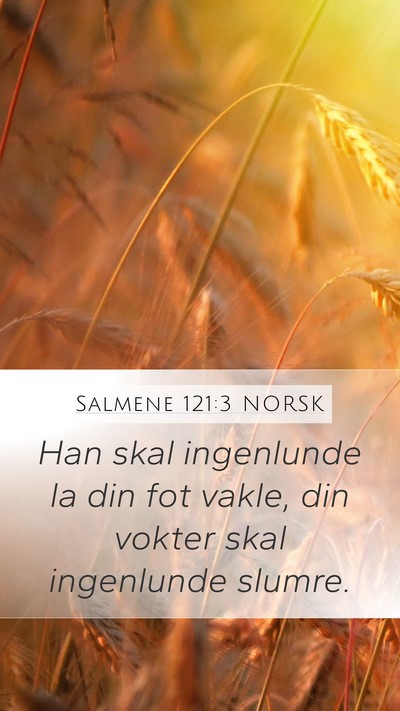 Salmene 121:3 NORSK Bible Verse Image