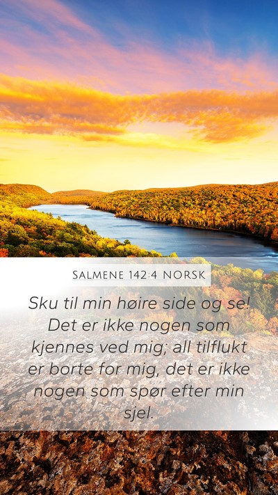 Salmene 142:4 NORSK Bible Verse Image