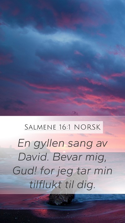 Salmene 16:1 NORSK Bible Verse Image