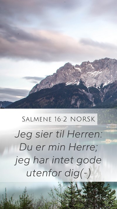 Salmene 16:2 NORSK Bible Verse Image