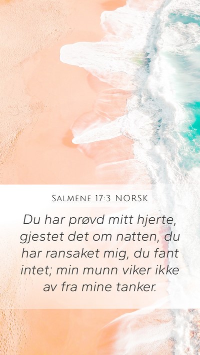Salmene 17:3 NORSK Bible Verse Image