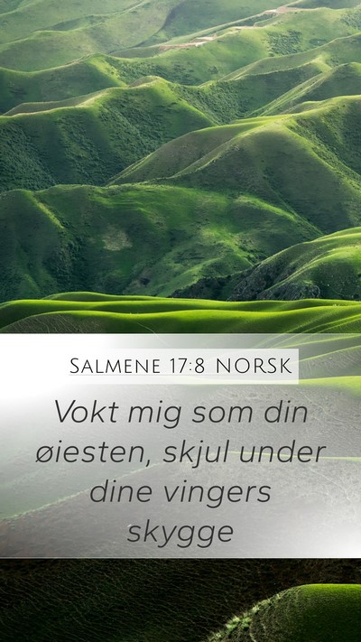 Salmene 17:8 NORSK Bible Verse Image