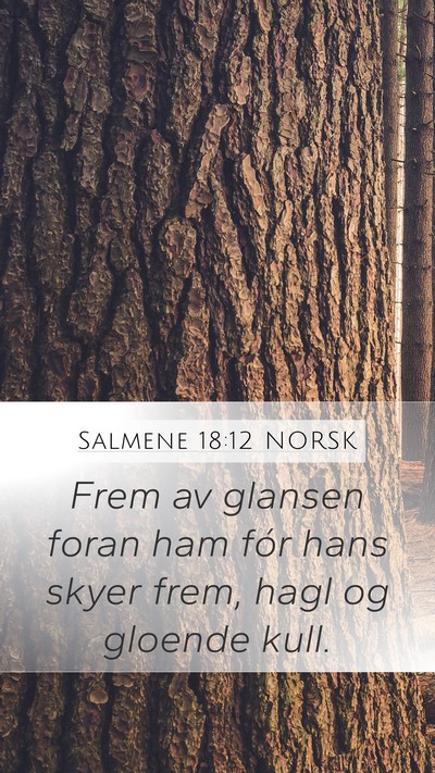 Salmene 18:12 NORSK Bible Verse Image