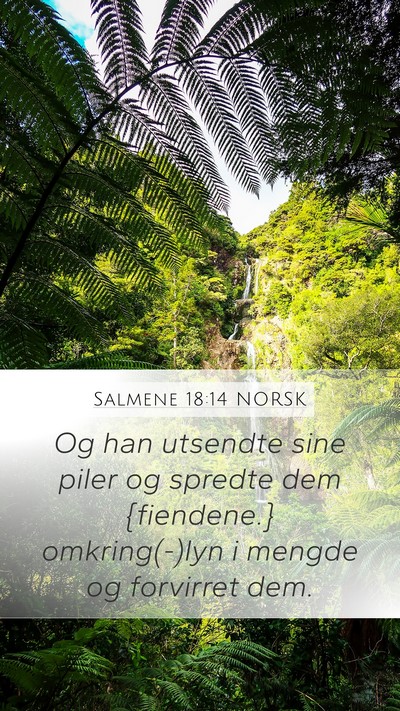 Salmene 18:14 NORSK Bible Verse Image