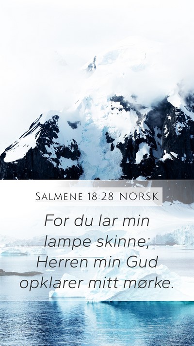 Salmene 18:28 NORSK Bible Verse Image