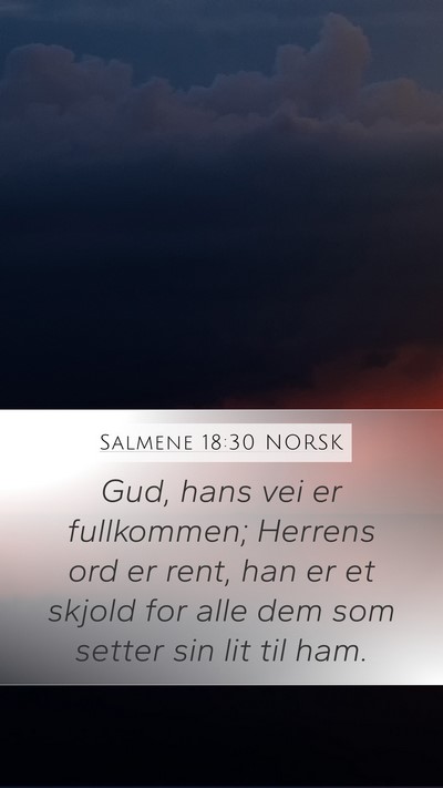 Salmene 18:30 NORSK Bible Verse Image