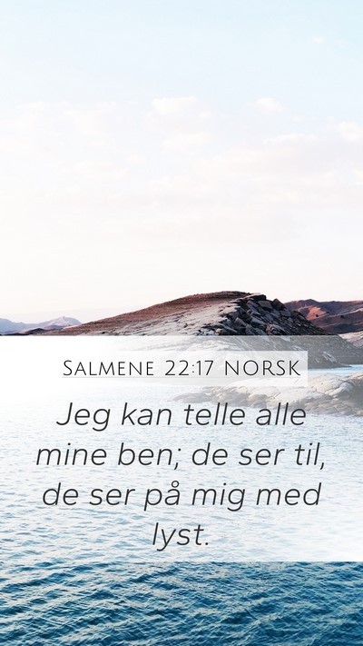 Salmene 22:17 NORSK Bible Verse Image