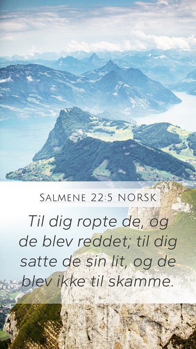 Salmene 22:5 NORSK Bible Verse Image
