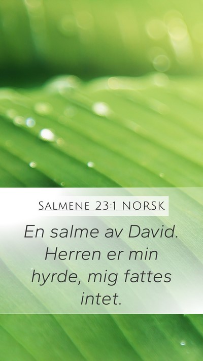 Salmene 23:1 NORSK Bible Verse Image