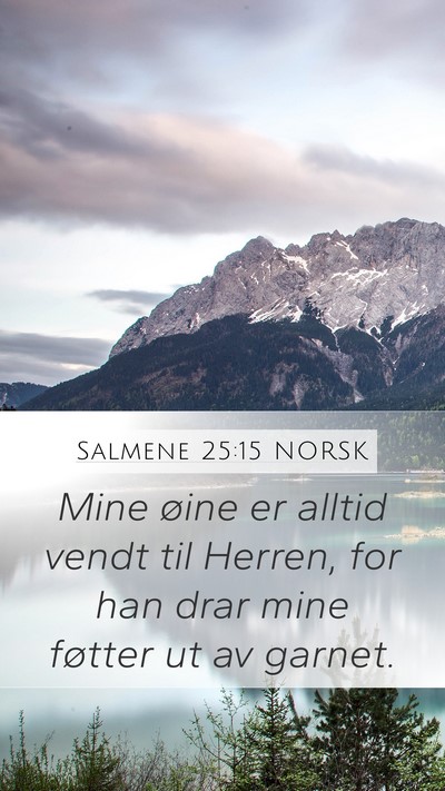 Salmene 25:15 NORSK Bible Verse Image