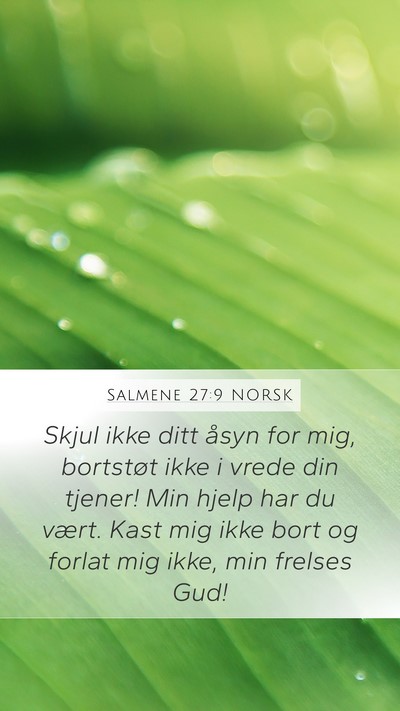 Salmene 27:9 NORSK Bible Verse Image