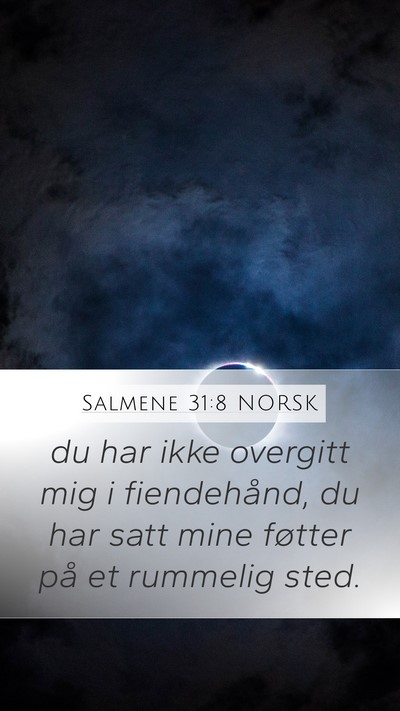 Salmene 31:8 NORSK Bible Verse Image