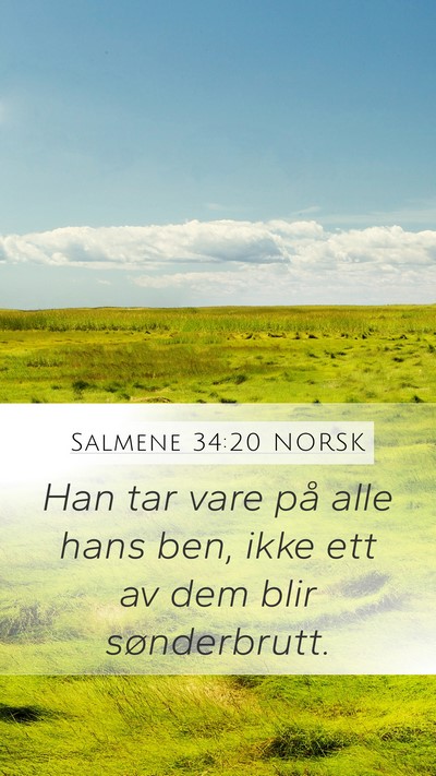 Salmene 34:20 NORSK Bible Verse Image