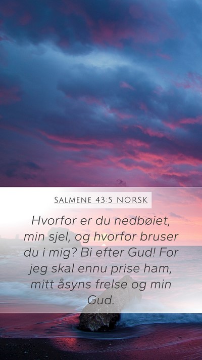 Salmene 43:5 NORSK Bible Verse Image
