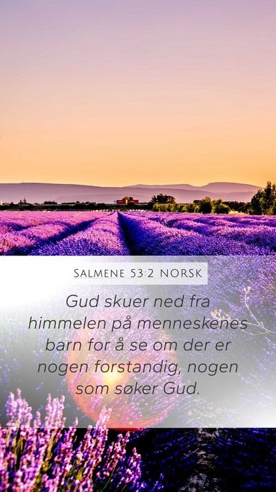 Salmene 53:2 NORSK Bible Verse Image