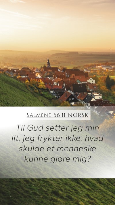 Salmene 56:11 NORSK Bible Verse Image