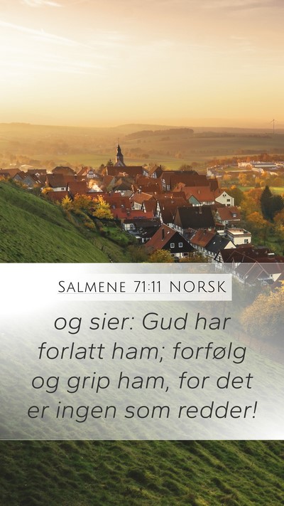 Salmene 71:11 NORSK Bible Verse Image