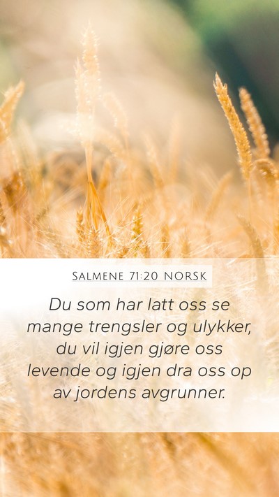 Salmene 71:20 NORSK Bible Verse Image