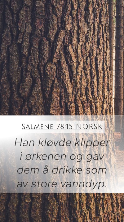 Salmene 78:15 NORSK Bible Verse Image