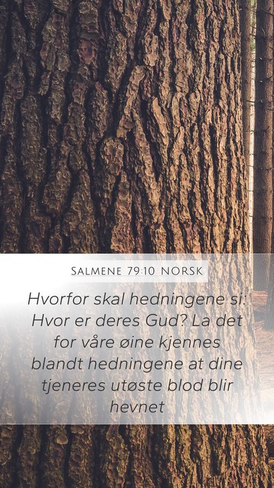 Salmene 79:10 NORSK Bible Verse Image