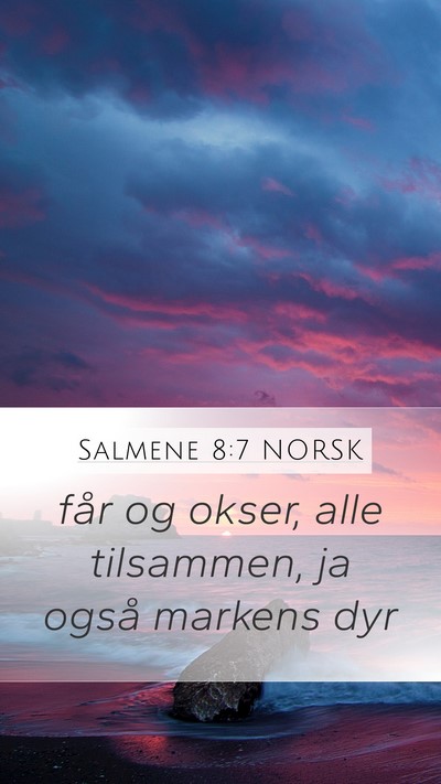 Salmene 8:7 NORSK Mobile Phone Wallpaper - får og okser, alle tilsammen, ja også markens - Mobile Bible Verse Wallpaper