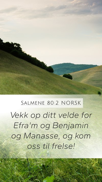 Salmene 80:2 NORSK Bible Verse Image