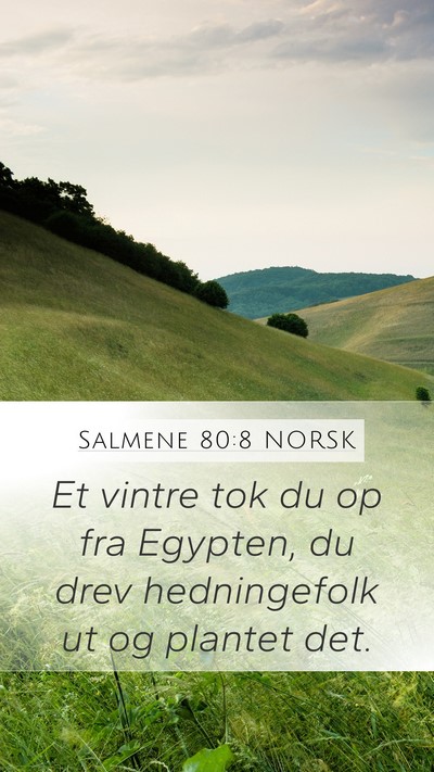 Salmene 80:8 NORSK Bible Verse Image
