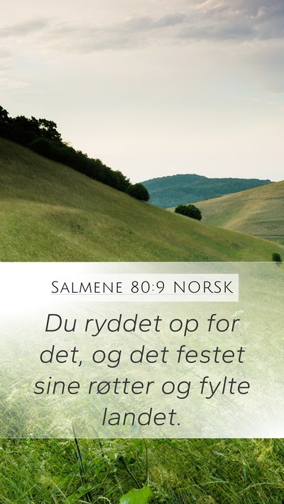 Salmene 80:9 NORSK Bible Verse Image