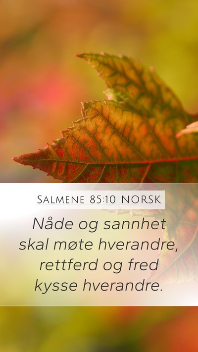Salmene 85:10 NORSK Bible Verse Image