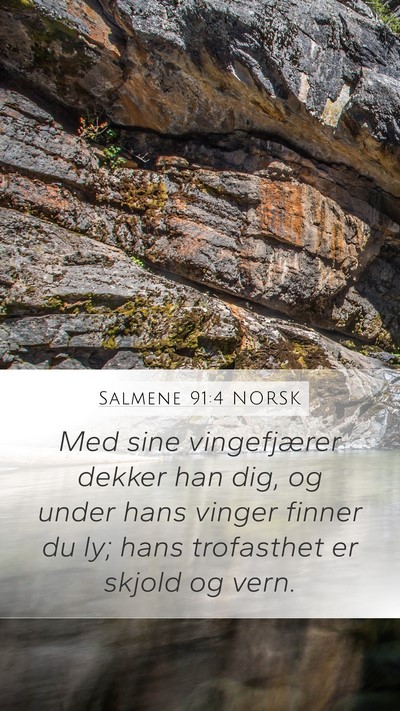 Salmene 91:4 NORSK Bible Verse Image