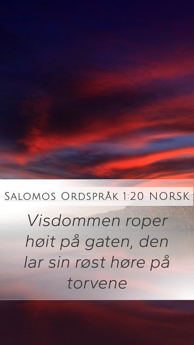 Salomos Ordspråk 1:20 NORSK Bible Verse Image