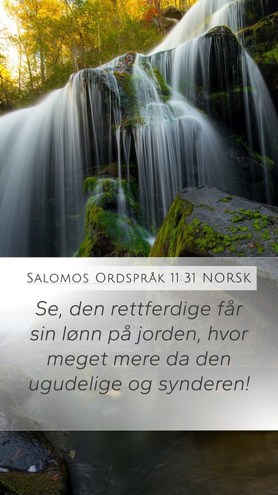 Salomos Ordspråk 11:31 NORSK Bible Verse Image