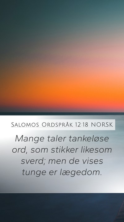 Salomos Ordspråk 12:18 NORSK Bible Verse Image