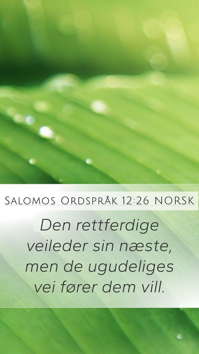 Salomos Ordspråk 12:26 NORSK Bible Verse Image