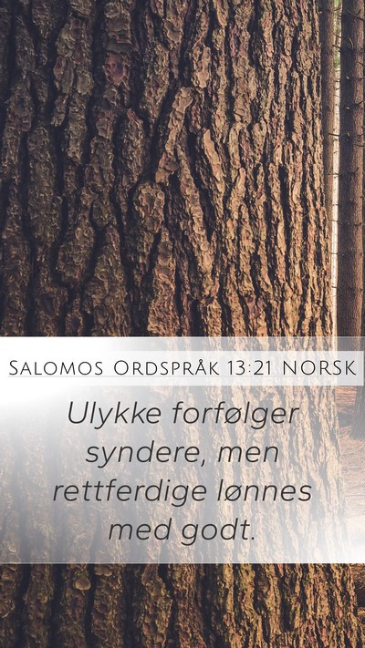 Salomos Ordspråk 13:21 NORSK Bible Verse Image