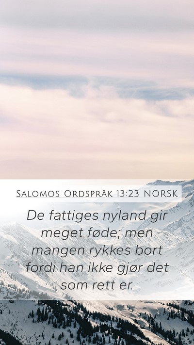 Salomos Ordspråk 13:23 NORSK Bible Verse Image
