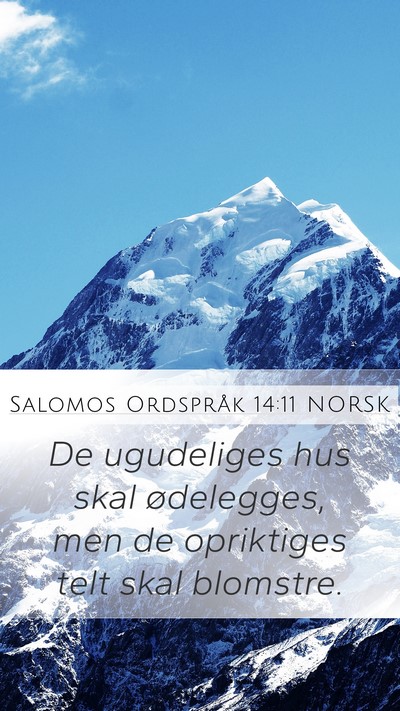 Salomos Ordspråk 14:11 NORSK Bible Verse Image